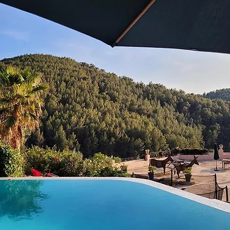 Masia De Matuta